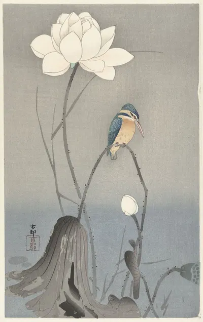 Kingfisher with Lotus Flower by Ohara Koson, 1900 - 1945 — digital art print download