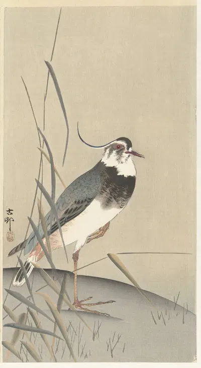 Lapwing and reed by Ohara Koson, 1900 - 1930 — digital art print download