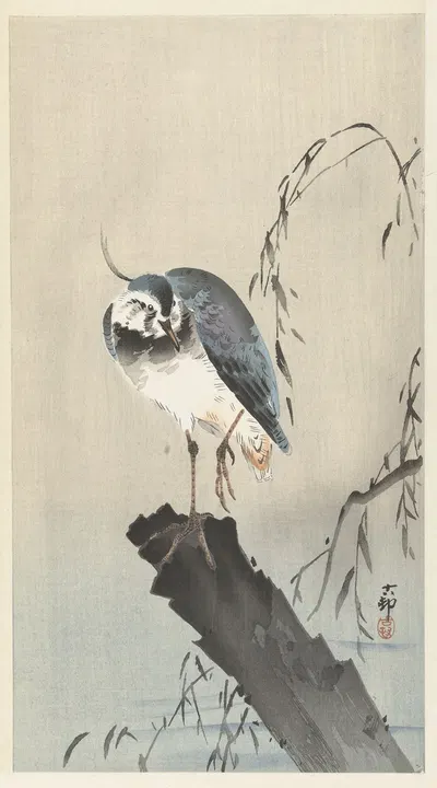 Lapwing on tree stump by Ohara Koson, 1900 - 1930 — digital art print download