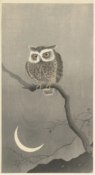 Long-eared owl on bare tree branch by Ohara Koson, 1900 - 1930 — digital art print download