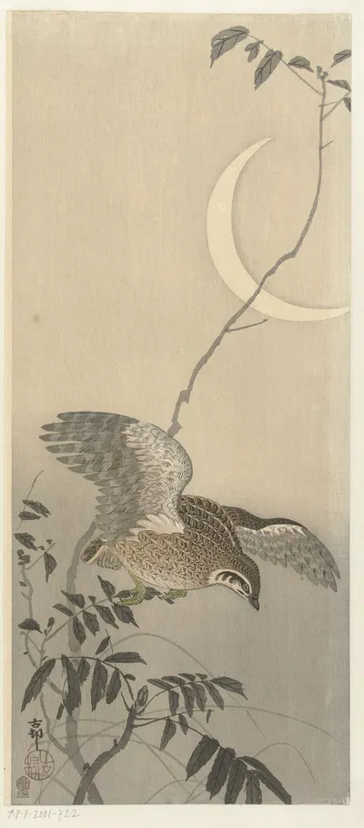 Quail at sickle moon by Ohara Koson, 1900 - 1930 — digital art print download