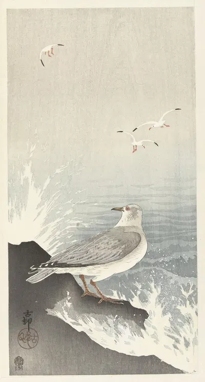 Seagull on rock by Ohara Koson, 1900 - 1910 — digital art print download