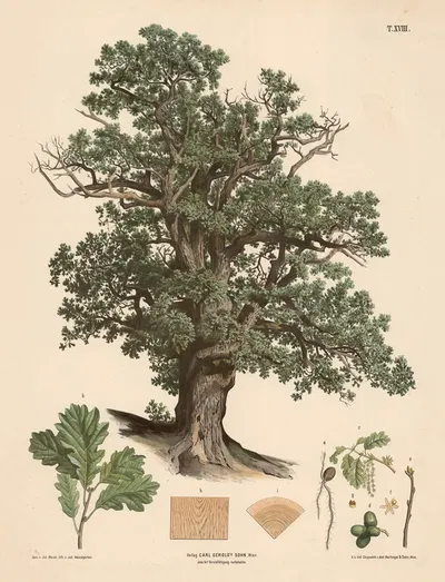 Egetræ by Юлий Эдуард Марак, 1889 — digital art print download