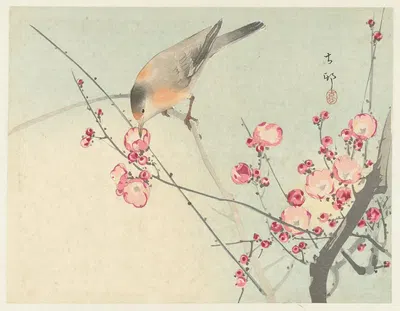 Songbird on blossom branch by Ohara Koson, 1900 - 1936 — digital art print download