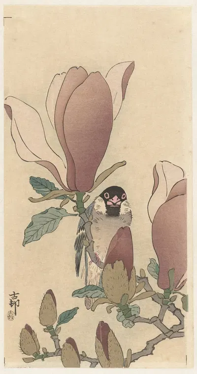 Sparrow on blooming magnolia branch by Охара Косон, 1900 - 1930 — digital art print download