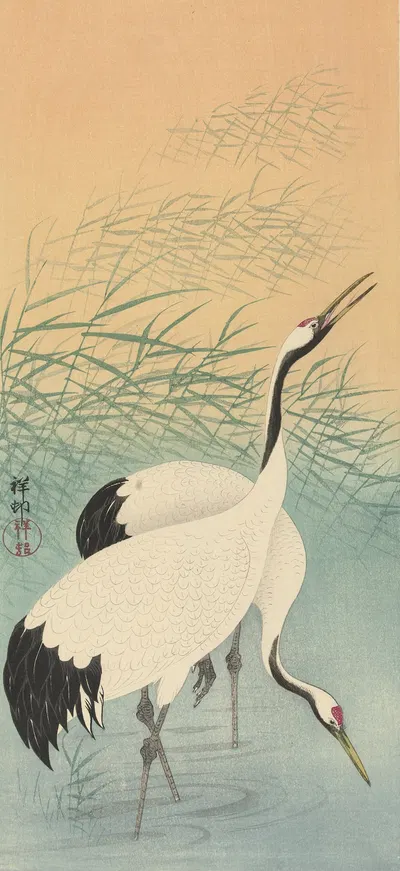 Two cranes by Ohara Koson, 1925 - 1936 — digital art print download