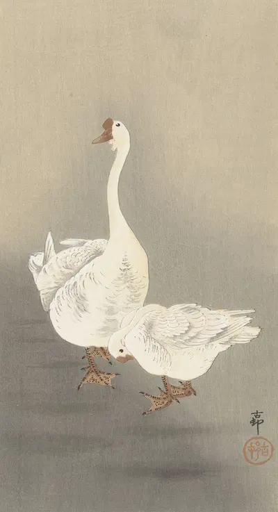 Two geese by Ohara Koson, 1900 - 1930 — digital art print download