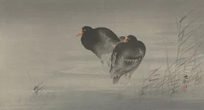 Two moorhens by Ohara Koson, 1900 - 1930 — digital art print download