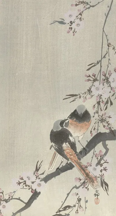 Two siegeled redtails with cherry blossom by Ohara Koson, 1900 - 1936 — digital art print download