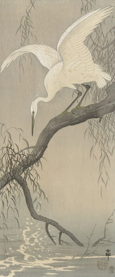White heron on tree branch by Ohara Koson, 1900 - 1910 — digital art print download
