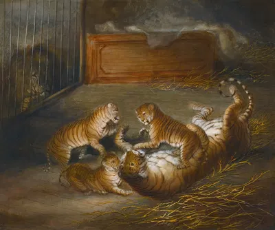 Three 'liger' Cubs Bred Between A Lion And A Tigress At The Royal Menagerie by Ричард Баррет Дэвис, 1824 — digital art…