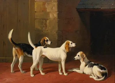 Three Fox Hounds In A Paved Kennel Yard by Уильям Барро, 1848 — digital art print download