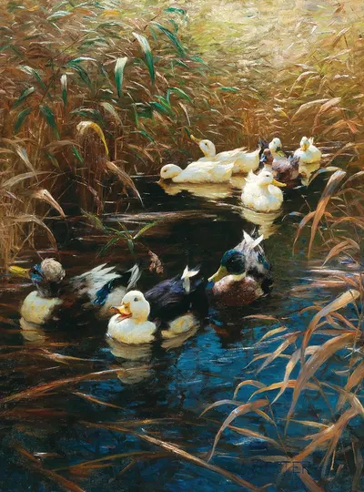 Ducks in autumn reeds by Александр Кёстер — digital art print download