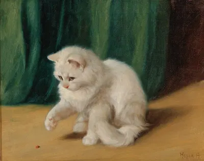 Cat with Ladybird by Артур Хейер — digital art print download