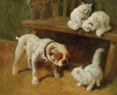 Dog and Cats by Артур Хейер — digital art print download