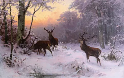 Wild im Winterwald by Arthur Thiele, 1874 — digital art print download