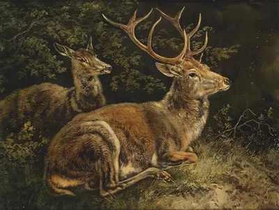 Rotwild by August Schleich — digital art print download