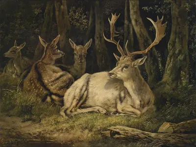 Dammwild by August Schleich — digital art print download