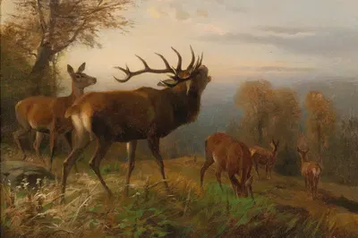 Herd of Red Deer by Карл Фридрих Дейкер — digital art print download