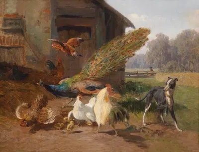 Hund im Geflügelhof by Карл Юц, 1872 — digital art print download