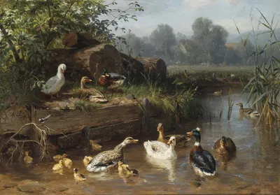 Enten am Bach by Carl Jutz — digital art print download