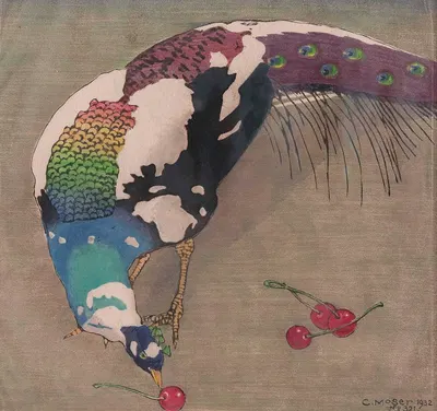 Weißgefleckter Pfau by Carl Moser — digital art print download