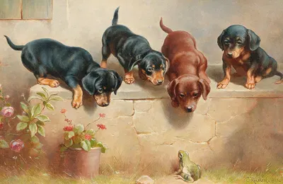 Curious dachshund puppies and a frog by Carl Reichert — digital art print download