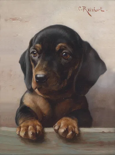 Young dachshund by Carl Reichert — digital art print download
