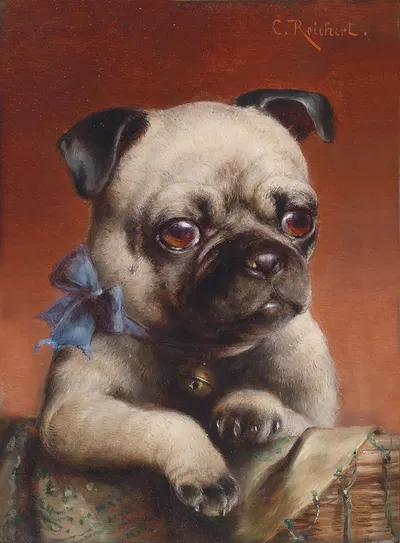 Young pug by Carl Reichert — digital art print download
