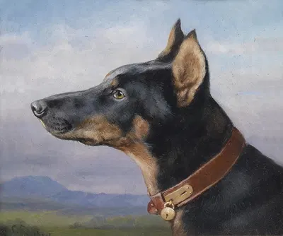 Portrait eines Dobermanns by Carl Reichert, 1916 — digital art print download