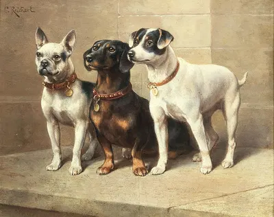 Three watchful dogs by Carl Reichert — digital art print download