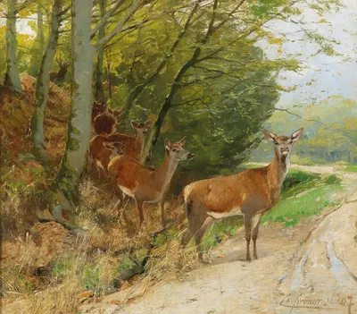 Pack of Red Deer Crossing a Track by Кристиан Кренер — digital art print download