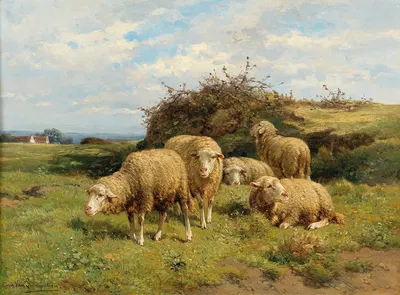 Sheep in a meadow by Корнелиус ван Лемпуттен — digital art print download