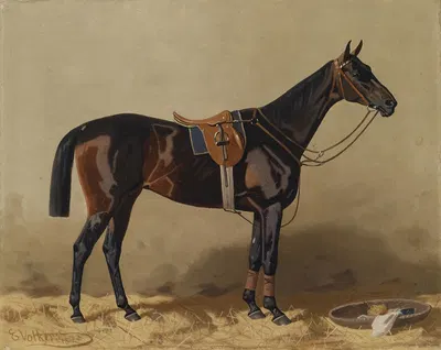Gesatteltes Sportpferd by Эмиль Волькерс, 1895 — digital art print download