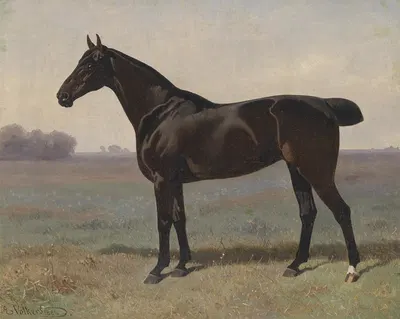 Rappe in Landschaft by Эмиль Волькерс, 1886 — digital art print download