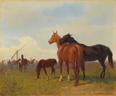 Horses on the Puszta by Эмиль Волькерс — digital art print download