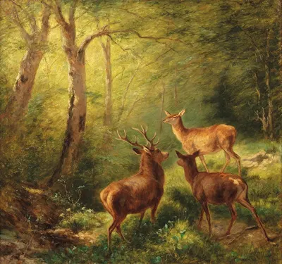 Rotwild in sonniger Waldlichtung by Франц Ксавер фон Паузингер, 1880 — digital art print download