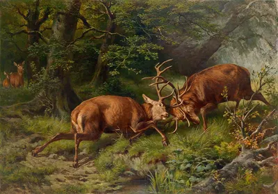 Kämpfende Hirsche by Franz Xaver von Pausinger, 1887 — digital art print download