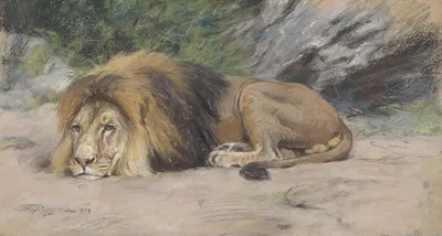 Reclining lion by Геза Вастаг — digital art print download