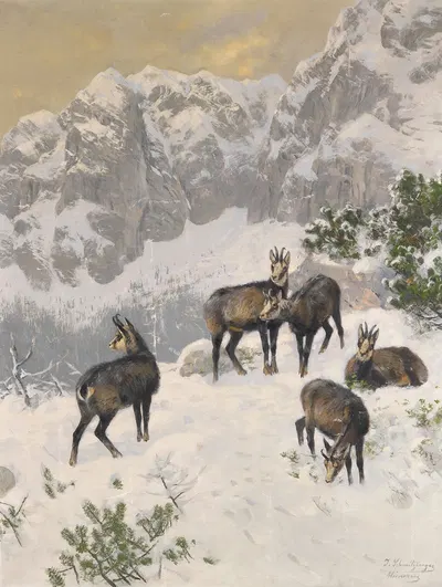 Gämse im Winter by Josef Schmitzberger — digital art print download