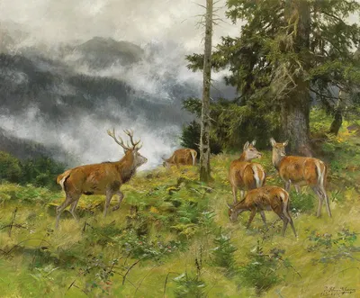 Rotwild im Morgennebel by Josef Schmitzberger — digital art print download