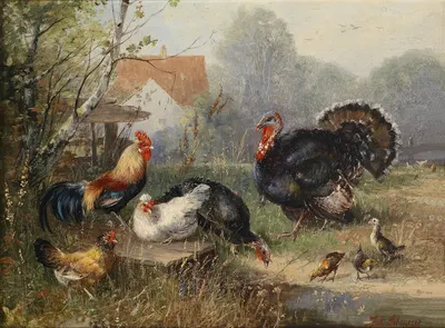 Hühnervolk und ein Truthahn by Julius Scheuerer — digital art print download