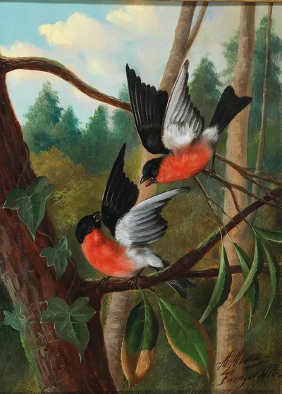 Zwei Vögel im Streit by Michelangelo Meucci — digital art print download
