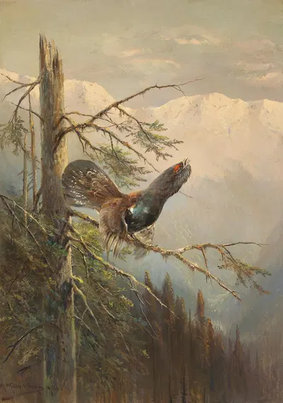 Balzender Auerhahn by Мориц Мюллер, 1908 — digital art print download