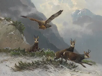 Gemsen im Hochgebirge by Мориц Мюллер — digital art print download