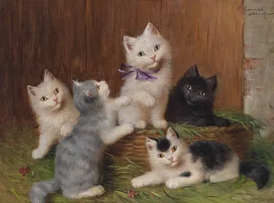 Katzenkinder by Sophie Sperlich — digital art print download