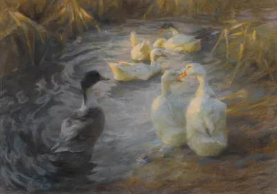 Ducks Among Reeds In A Pond by Александр Кёстер — digital art print download