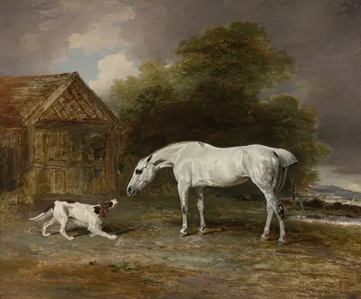 A Grey Hunter And A Spaniel by Benjamin Marshall, 1802 — digital art print download