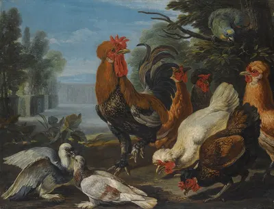 Ducks, Guinea Pigs And A Rabbit In A Wooded Landscape Beside A Lake by David de Coninck — digital art print download
