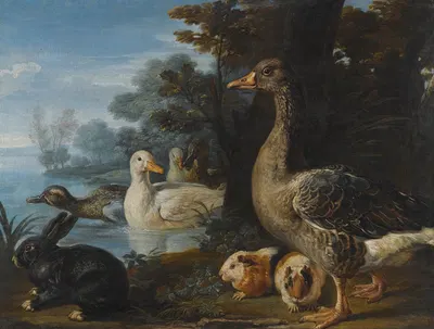 A Cockerel, Hens, Doves And A Parrot In A formal Garden Setting by David de Coninck — digital art print download